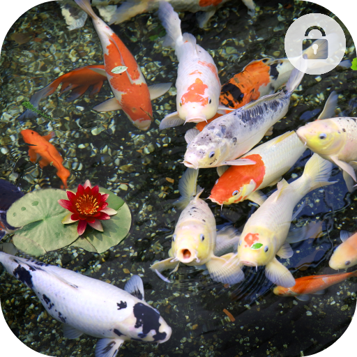 Koi Fish Lock Screen for Huawei icon
