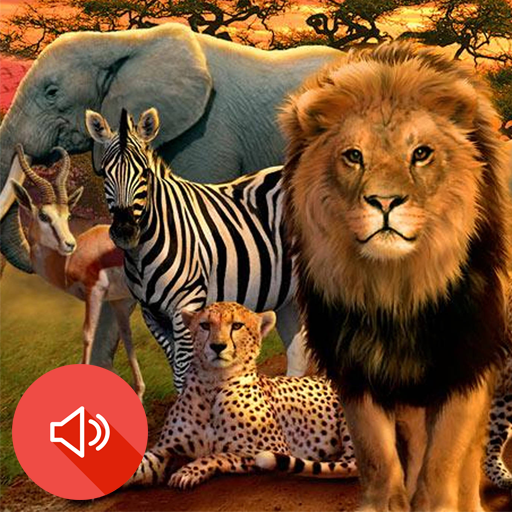 Animals Ringtones Free icon