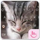 Tema de teclado gratuito Cats