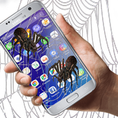 Screen on Spider Prank icon