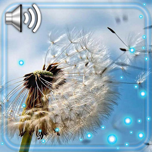 Summer Time Live Wallpaper icon