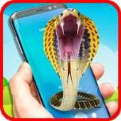 Magic Snake on screen on 9Apps