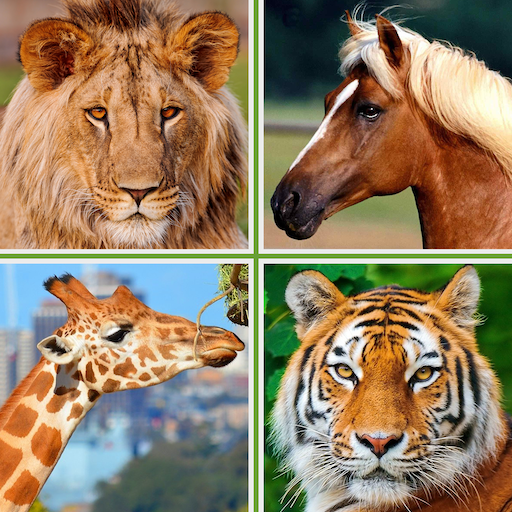 Animals for Kids - Flashcards, Puzzles &amp; Sounds icon