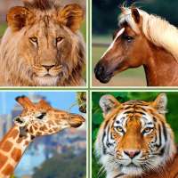 Animals for Kids - Flashcards, Puzzles & Sounds on 9Apps