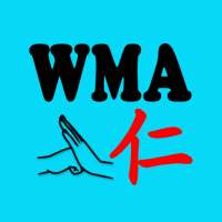 Wangs Martial Arts on 9Apps