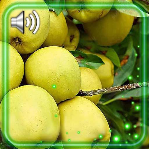 Apples Nice Live Wallpaper icon