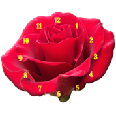 Rose Flower Clock icon