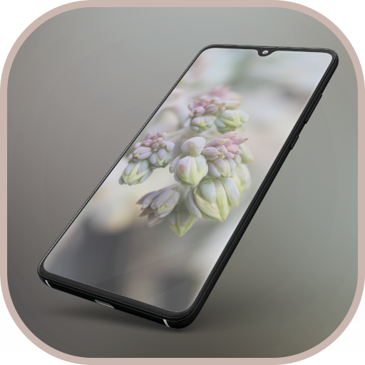 Theme for Realme C3 icon