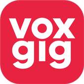 Voxgig