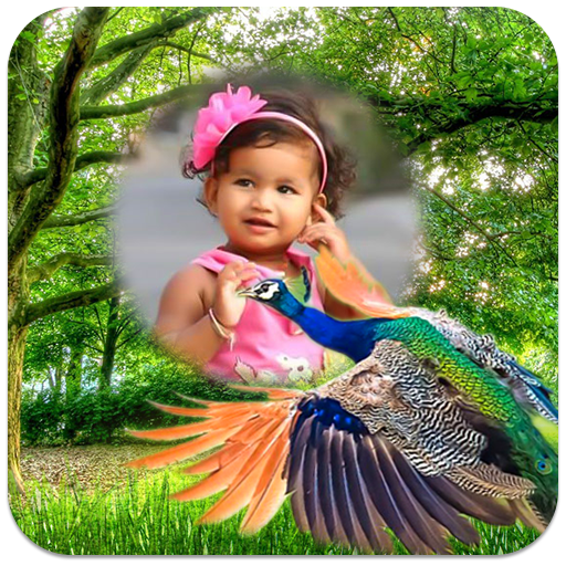 Peacock Photo Frames icon