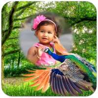 Peacock Photo Frames on 9Apps