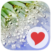 3 Pics 1 Key Word: Part II icon