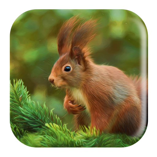 Squirrel Sounds icon
