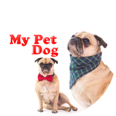 Pet Dog wallpapper icon