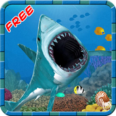 Shark Attack icon
