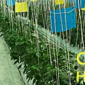 Image App Slider icon