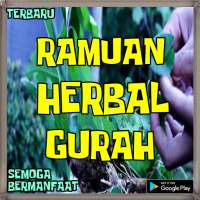 Resep cara Membuat Ramuan Gurah on 9Apps