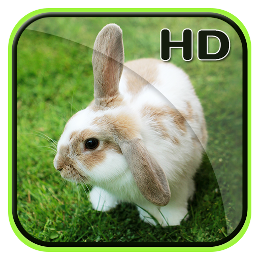 Cute Animal APUS Live Wallpaper icon