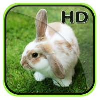 Cute Animal APUS Live Wallpaper on 9Apps