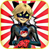 Miraculous Ladybug - Cat Noir icon