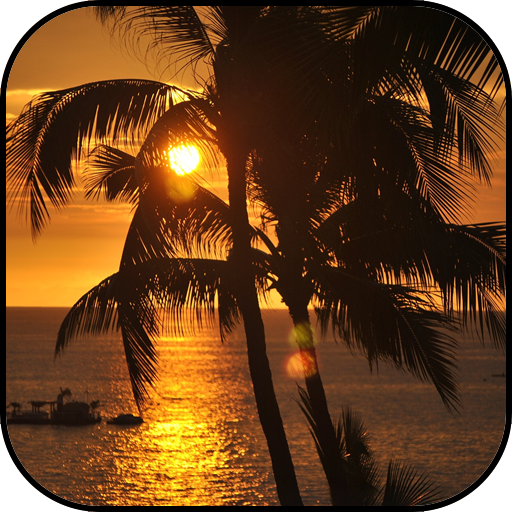 Hawaii wallpapers icon