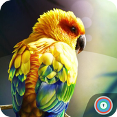 Birds Wallpaper HD Lockscreen icon