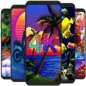 4K Wallpapers Auto Wallpaper Changer 2020 icon