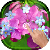 Magic Touch - Spring Flowers icon
