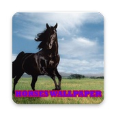 Horse Wallpapers 2017 icon