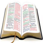 A D Crescendo Com Cristo icon