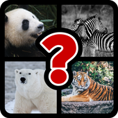 Adivina animales para niños icon