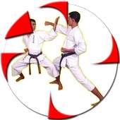 Karate Technique on 9Apps