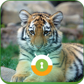 Baby Tiger Wall &amp; Lock icon