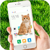 Cat on Screen Funny Joke icon