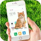 Cat on Screen Funny Joke