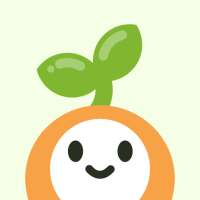 Day Log - Daily Bullet Journal