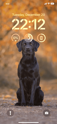 Dog wallpaper screenshot 20