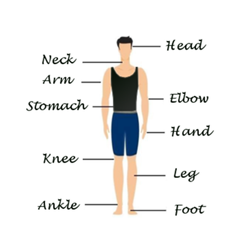 Human Body Facts icon