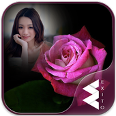 ikon Pink Rose Photo Frames