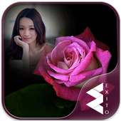 Pink Rose Photo Frames on 9Apps