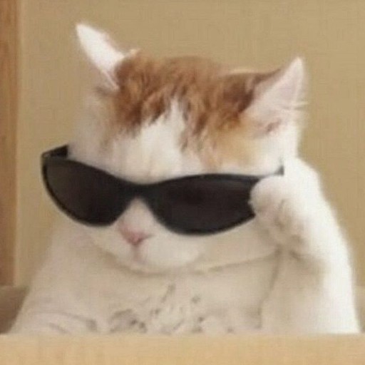 Funny Profile Pictures || PFP icon