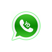 YO Whats plus أيقونة