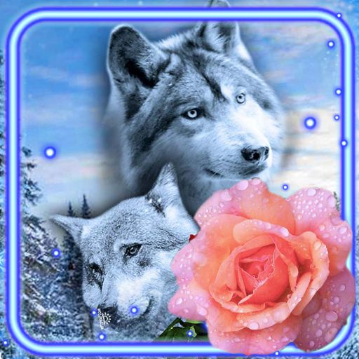 Wolves Roses Live Wallpaper icon
