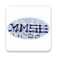 Mini Mental state exam