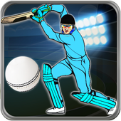 Quick Cricket icon