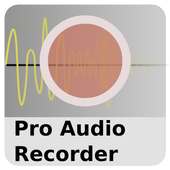 Pro Audio Mp3 Recorder