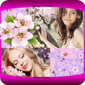 Sakura Photo Collage icon