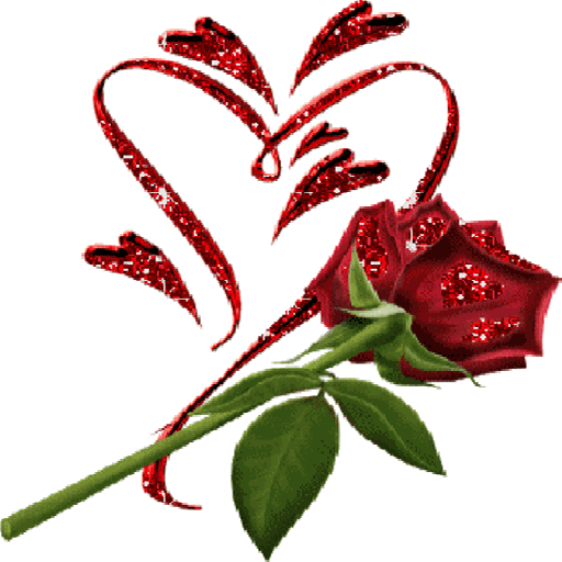 Red Shine Rose LWP icon