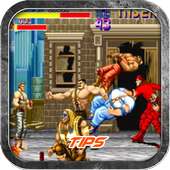 Tips Final Fight Streetwise Guide