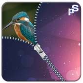 Zipper Lock Screen on 9Apps